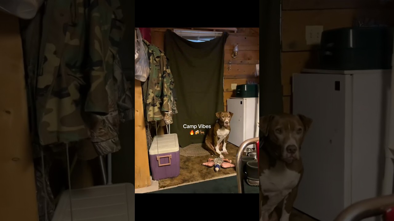 December, hunting season, camp time 