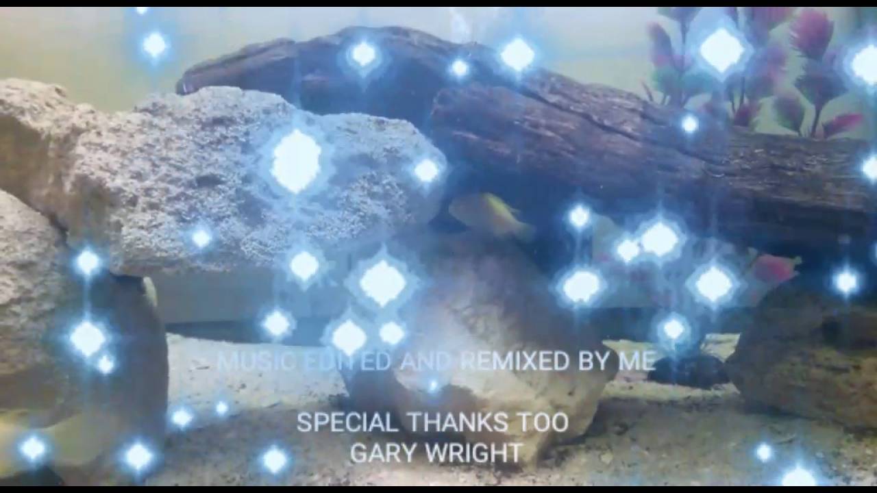 Electric Yellow new breeding area