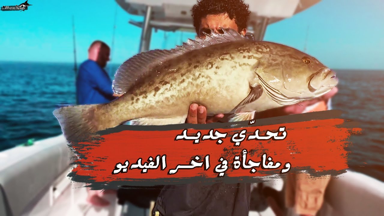 🤔تحدي الصيد بين الجمبري الحي والجمبري الميت🦐 ، ومفاجأة في اخر الفيديو تتوقع مين يكسب ؟