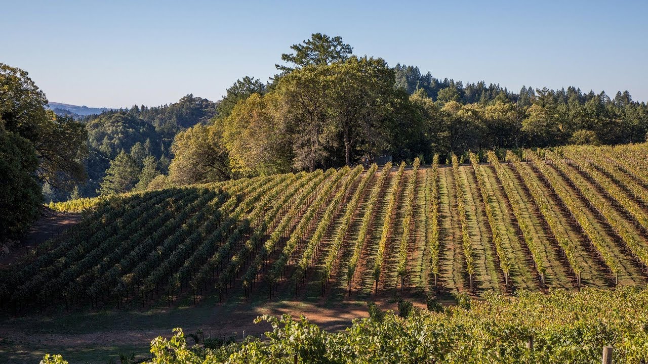 Five Amazing Napa Valley Wineries