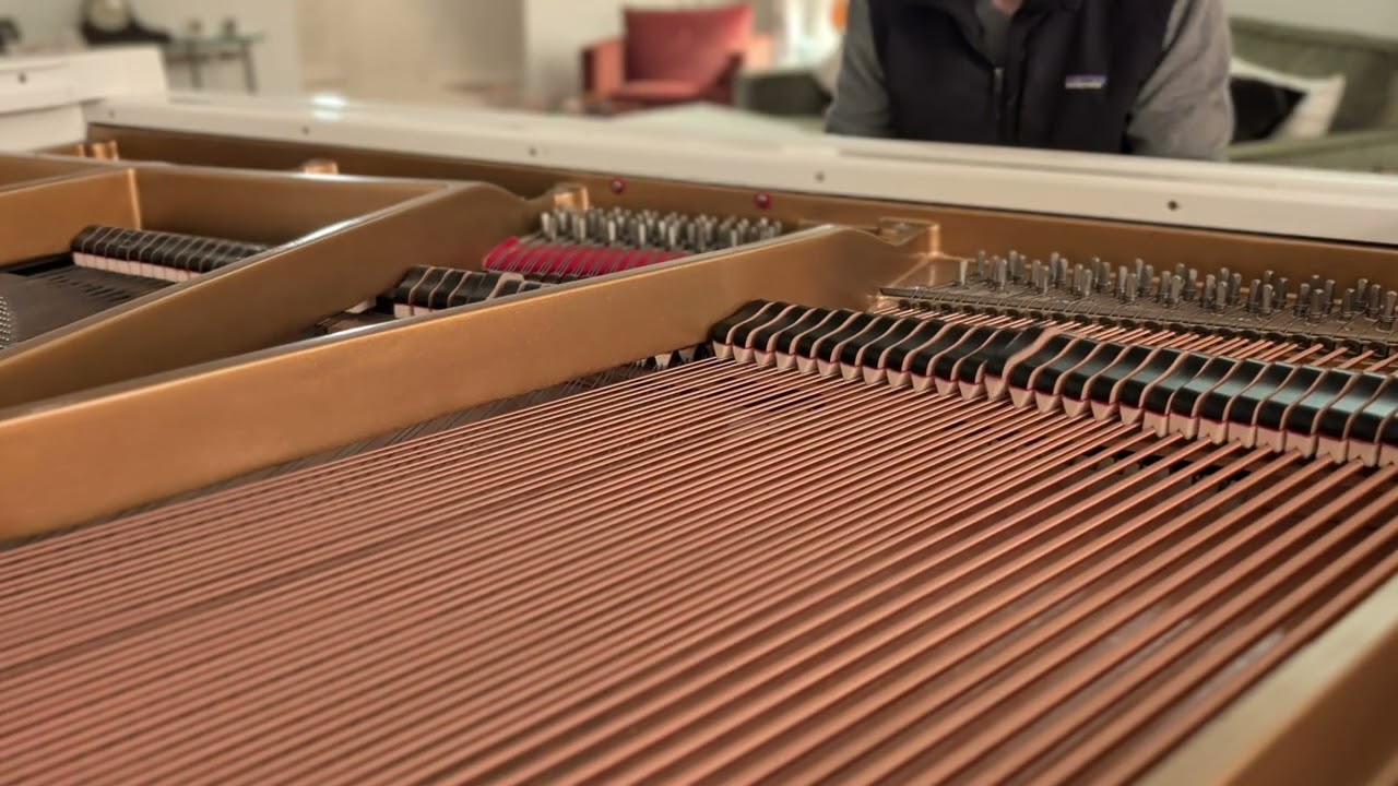 Perspective Shift (Week 8) - Structured Improvisation