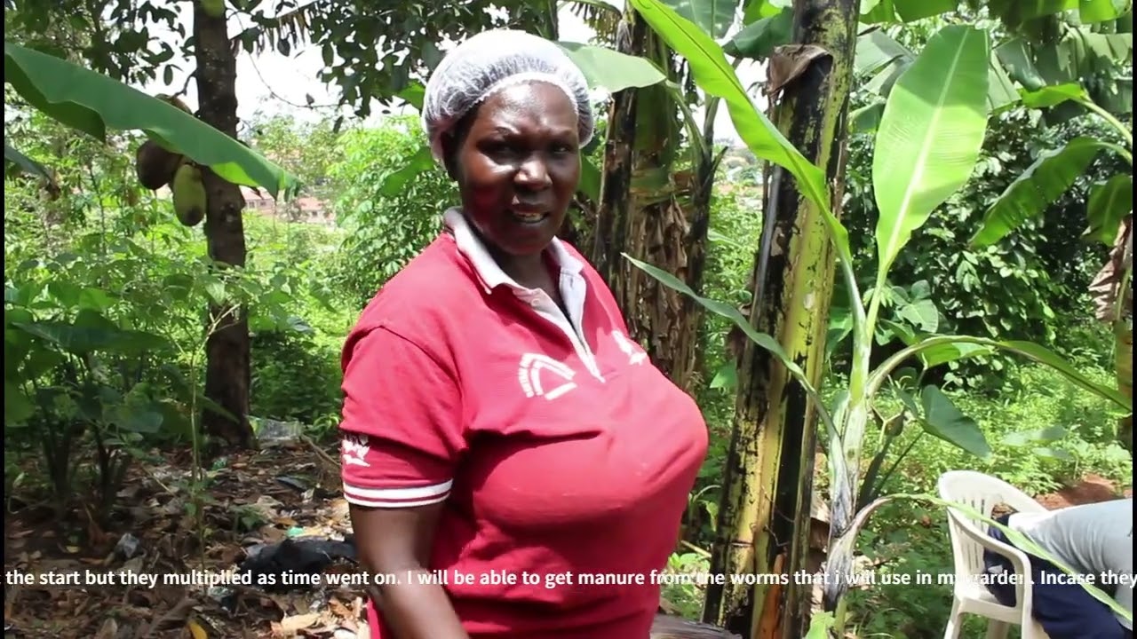 The benefits of the tiger worm toilet as a low-cost sanitation and hygiene facility.