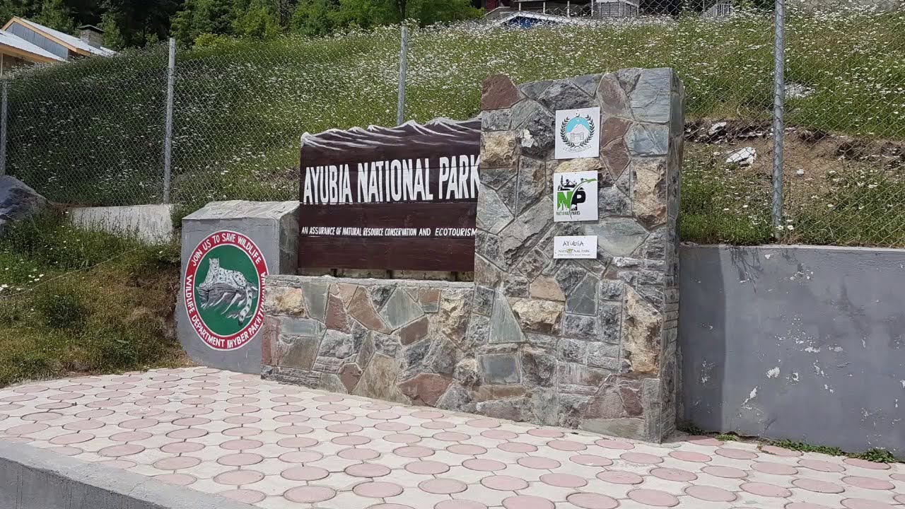 Pipeline Trek Donga Gali to Ayubia