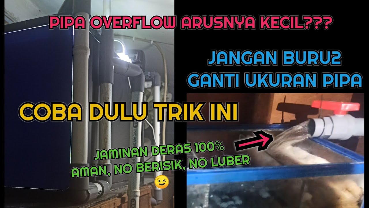 SET UP AQUARIUM SUMP FILTER PAKAI PIPA OVERFLOW