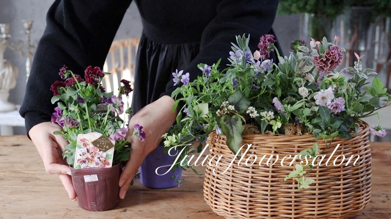 パンジーとビオラの寄せ植え/春を待つお花/雪国/ガーデニング