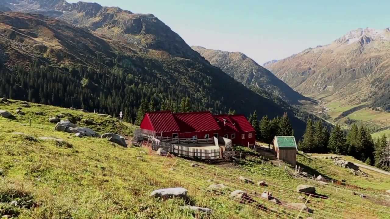 Wettertannen auf Alp Puzzetta