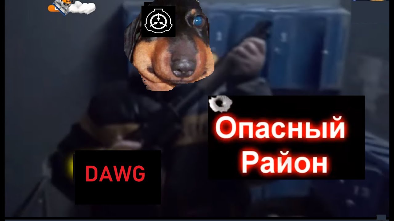 Dawg СМОТРИТ КОРОТКОМЕТРАЖКИ SCP ОПАСНЫЙ РАЙОН   (ПУТ АКСЕЛЬ)