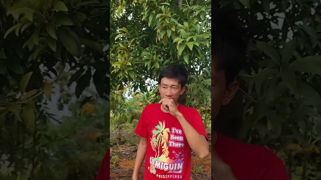 Mang gagamot 