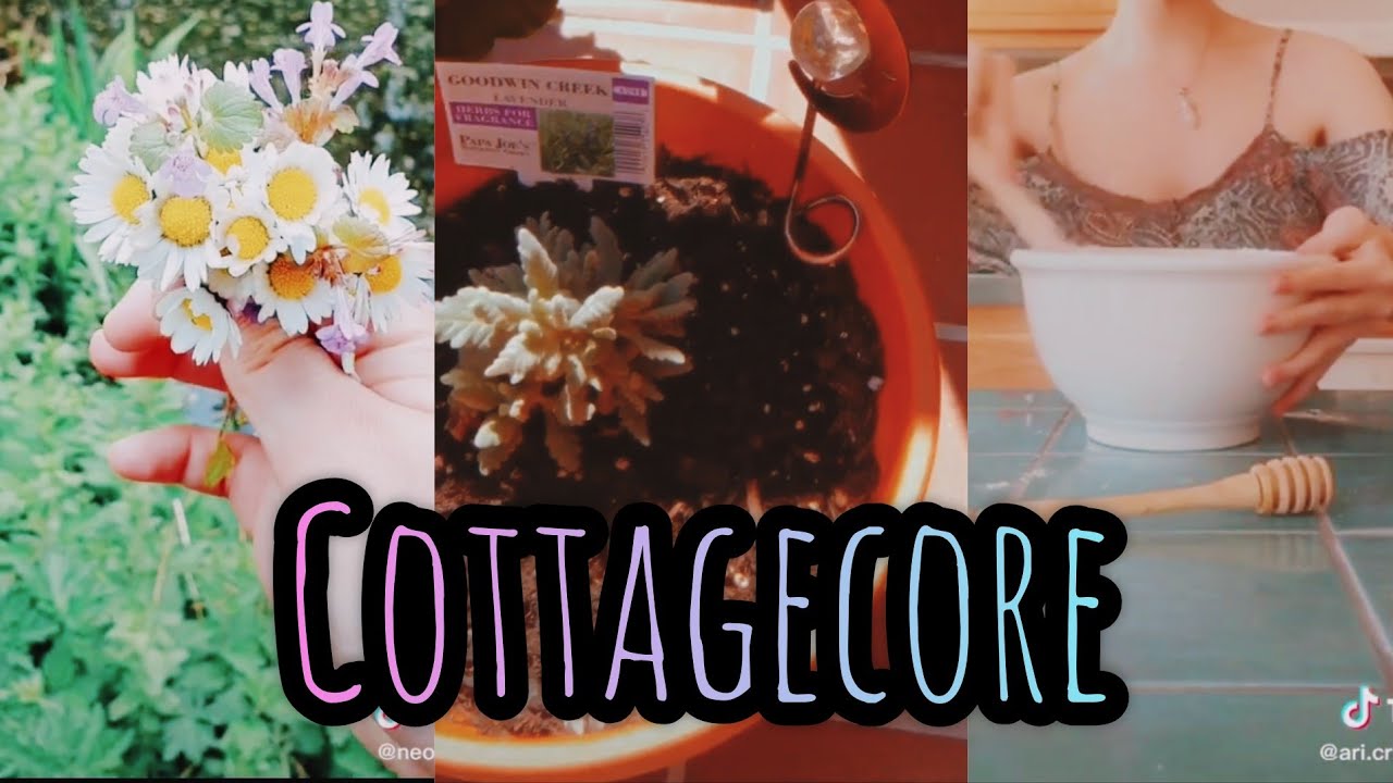 Cottagecore #3 (w/cooking)