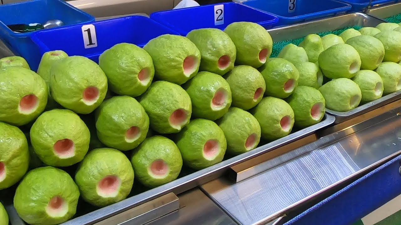 Amazing guava cutting skills - Taiwan street food / 神乎其技！快手切芭樂