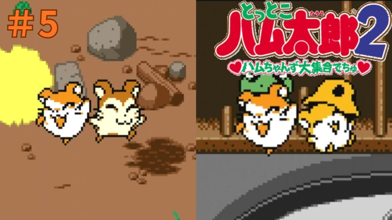 とっとこハム太郎2実況プレイしてみた⭐️#5【てぃきみ】