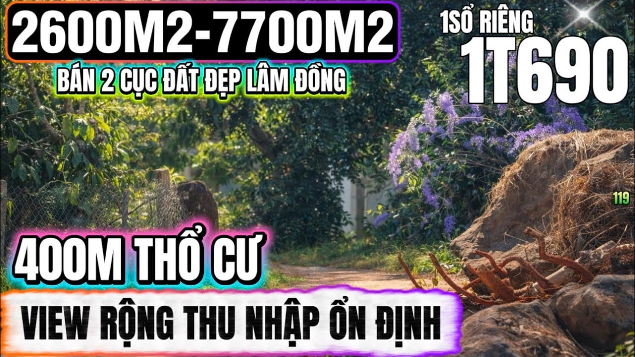 🔴Bán 2mảnh đất đẹp lâm đồng 2600m2-7700m2 nguồn thu ổn định 400m thổ cư Lh 0379 590 939