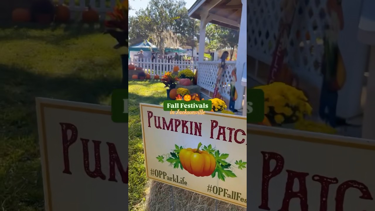 Fall Festivals in Jacksonville #florida #festival #fall