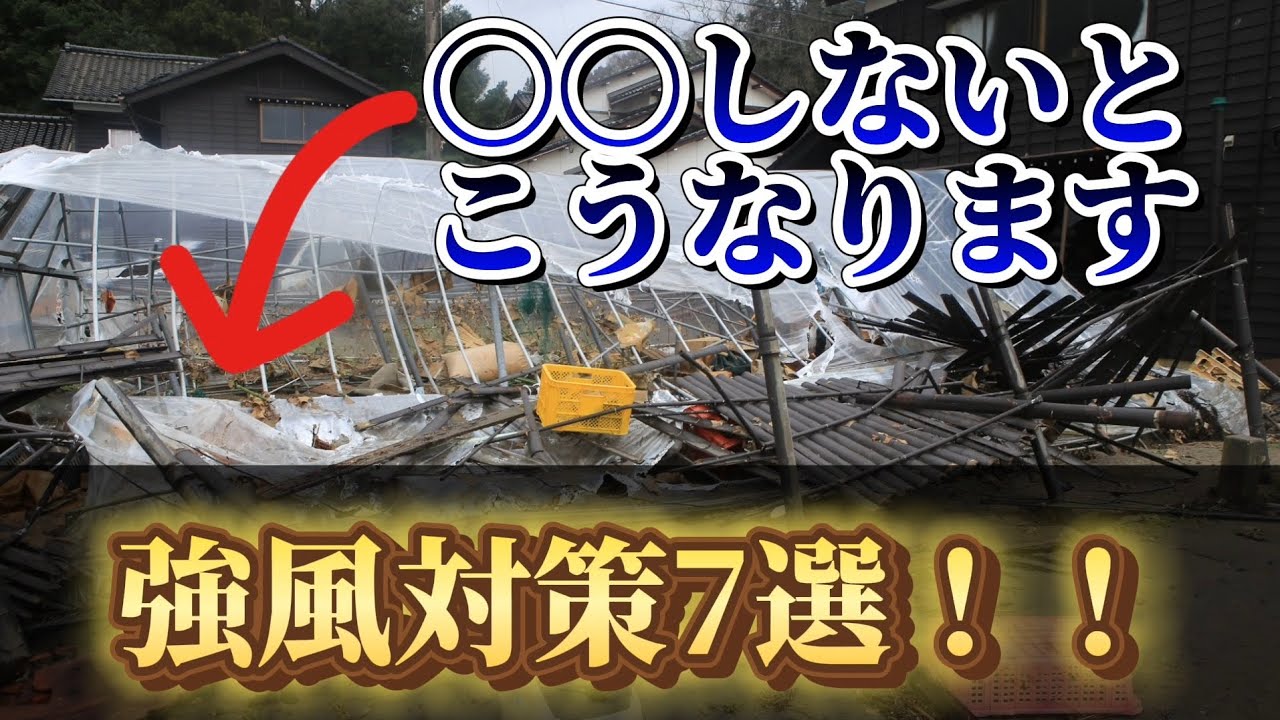 【台風対策】〇〇しないとビニールハウス倒壊！？強風にも耐えるハウスの強化方法7選！！
