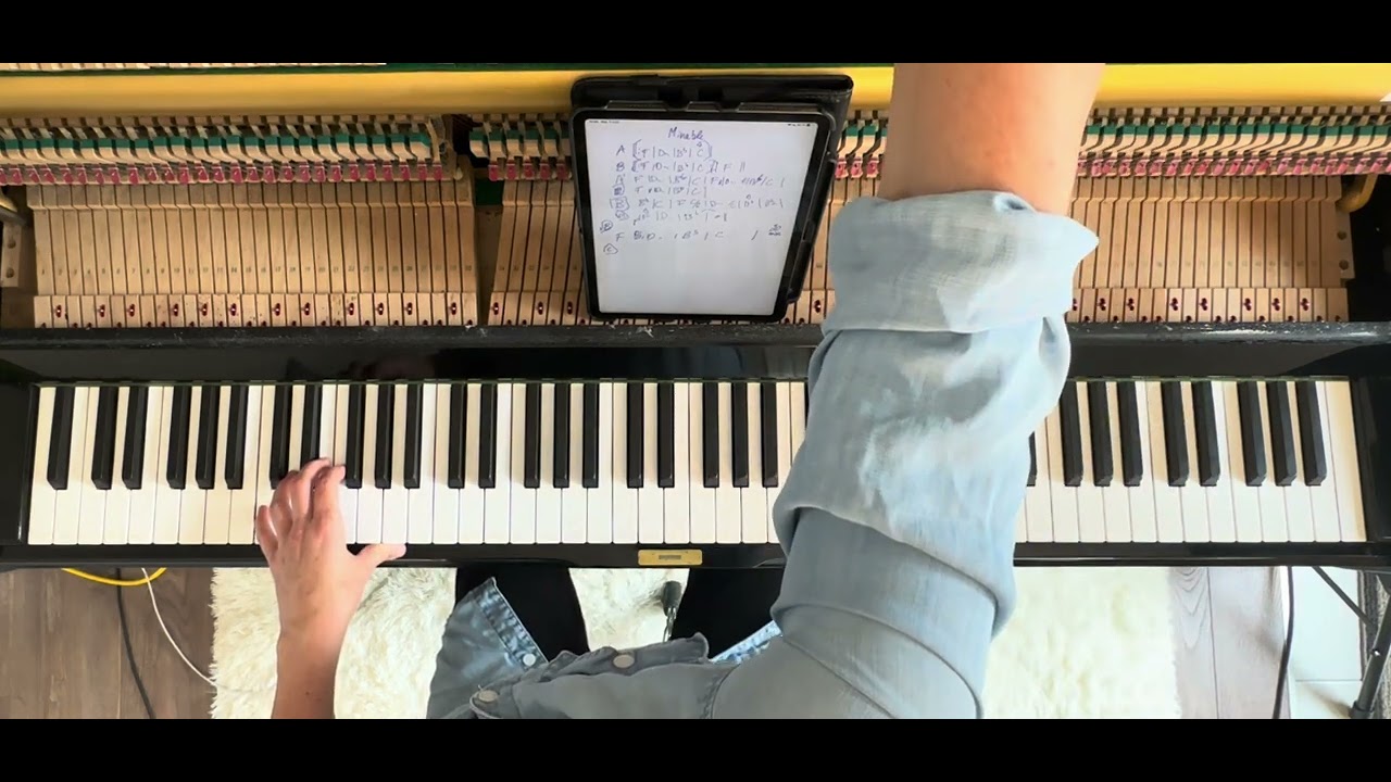 Comment jouer au piano   Minable de Katrine Sansregret