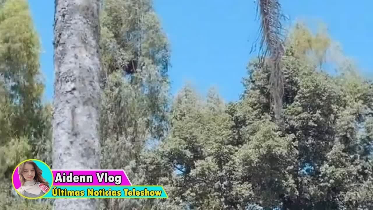 ¡Hermoso y renovado! Araceli González mostró como quedó el jardín de su mansión en un country