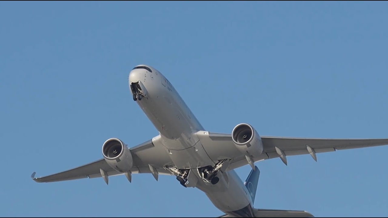 San spotting 18 (Sony zv-E10 II test)