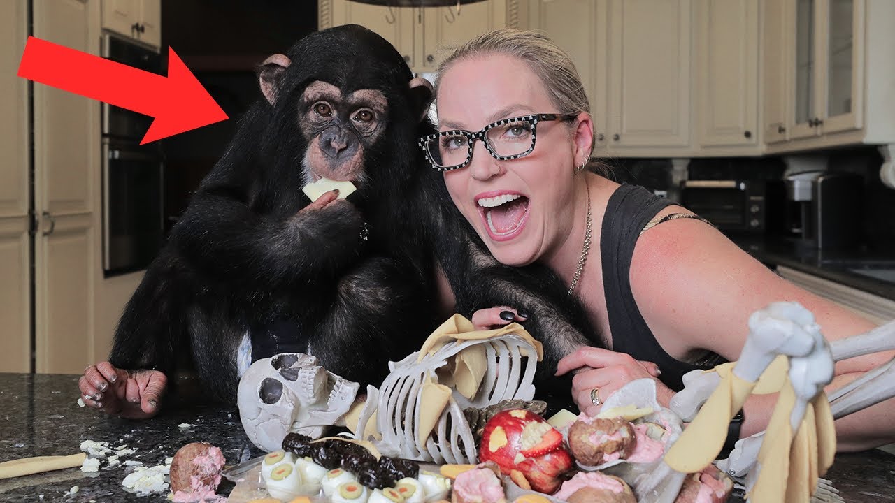 BABY CHIMP MAKES HALLOWEEN CHARCUTERIE BOARD!