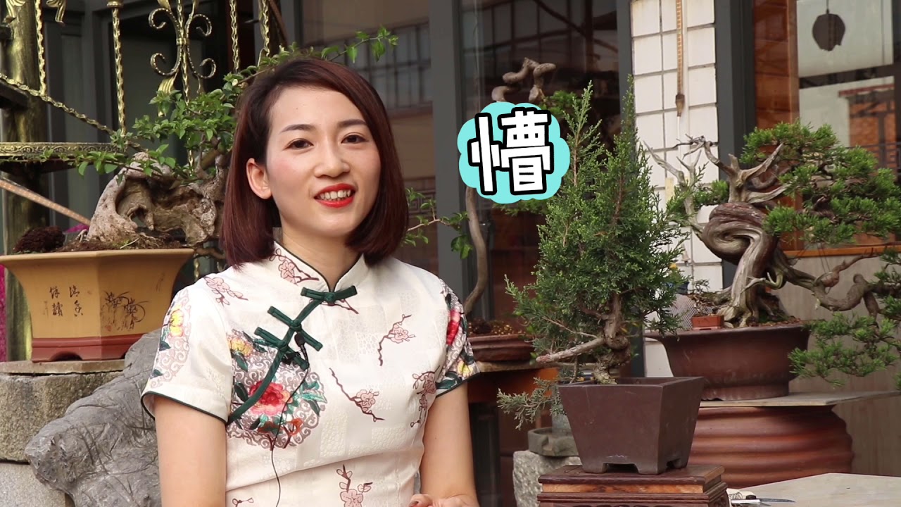 系鱼川真柏修剪定枝，玩盆景就是与时间赛跑！