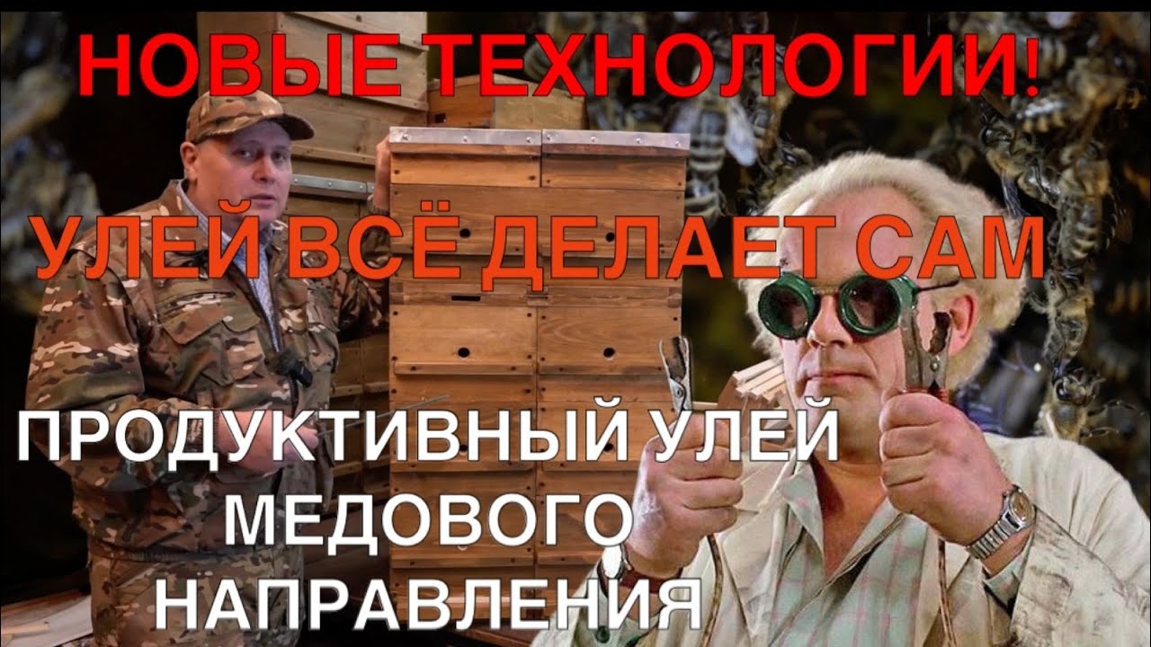 НОВЫЕ ТЕХНОЛОГИИ! ПРОДУКТИВНЫЙ УЛЕЙ МЕДОВОГО НАПРАВЛЕНИЯ
