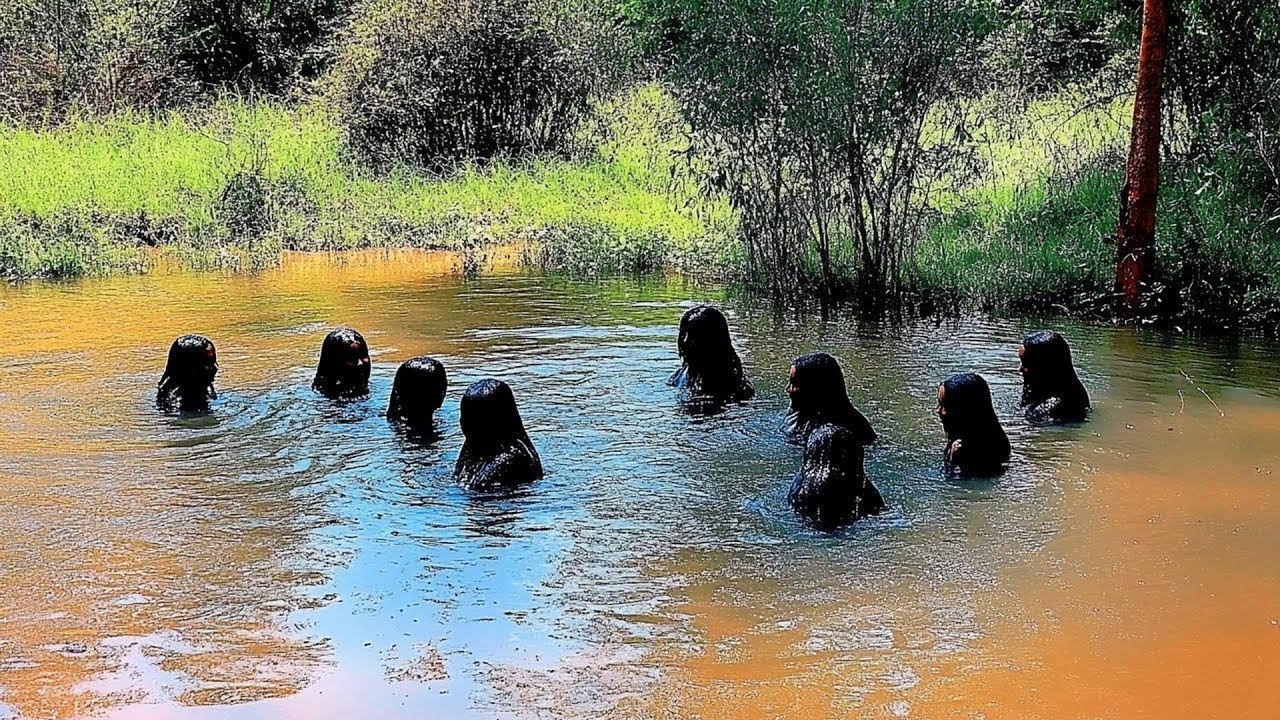 مشاهد مذهلة كادت أن تبقى سراً مخفياً للأبد لولا كاميرا الدرون