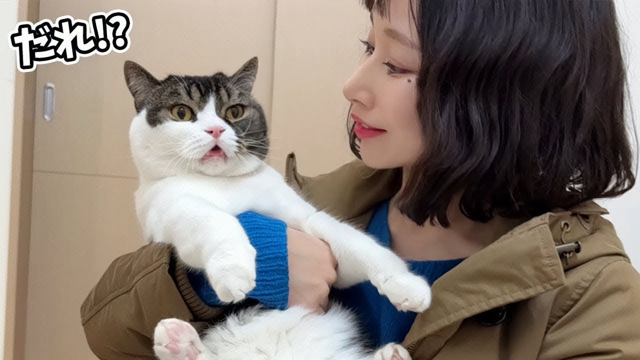 髪の毛をバッサリ切って帰ってきたら猫がビックリしてこうなったw w w