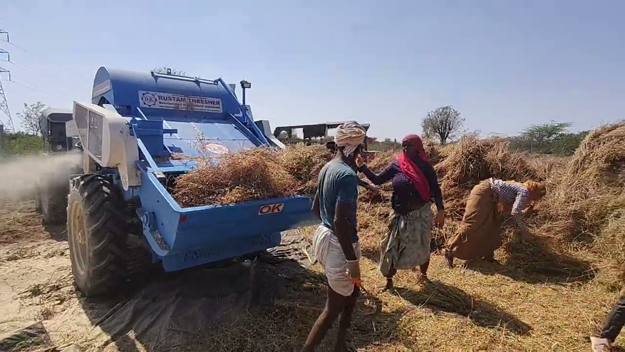 11 मार्च 2026