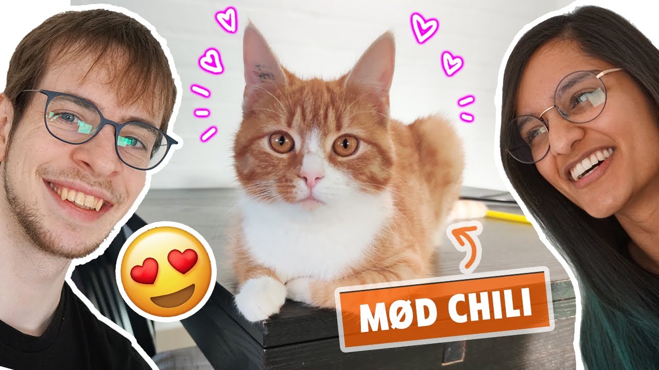 Mød Chili vores søde misser!