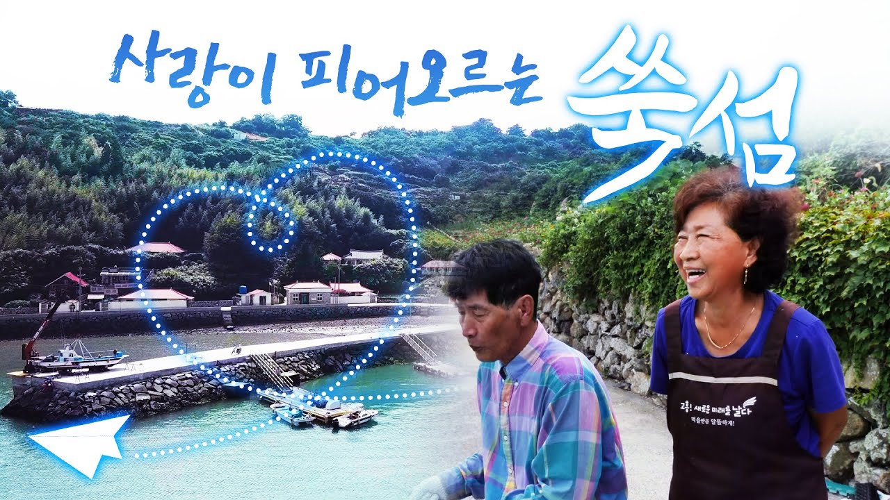 남편 꼬임에 섬에 왔는데 힘들었죠. 하지만 지금 섬생활 4년 소소한 재미를 느끼고 있어요 ㅎㅎ직접 캐서 쑥전 해먹고   통발에는 먹을거리 천지 특히 문어 #고흥 #쑥섬 #애도