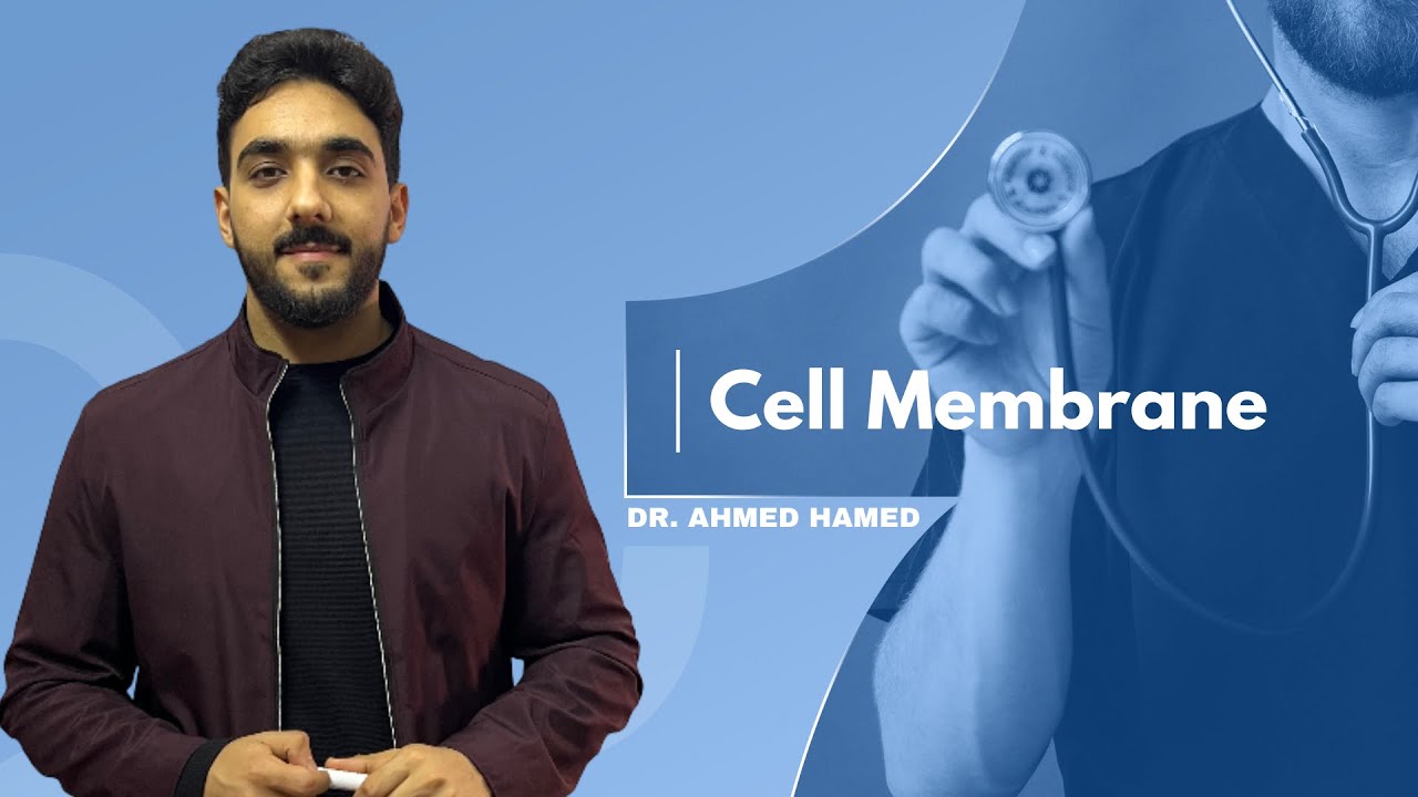 Cell membrane ( Cell 1 )