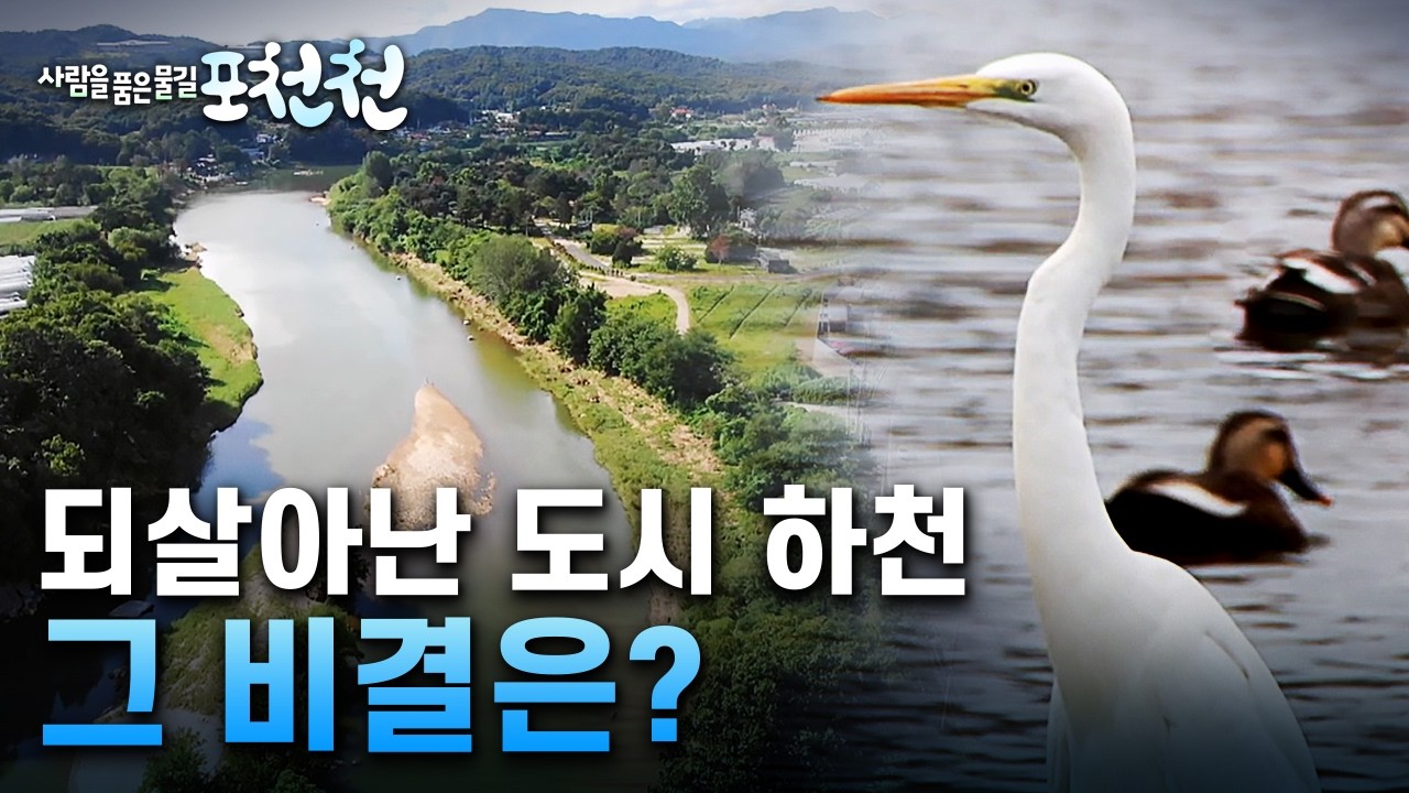 [특집] 사람을 품은 물길, 포천천 / YTN 사이언스