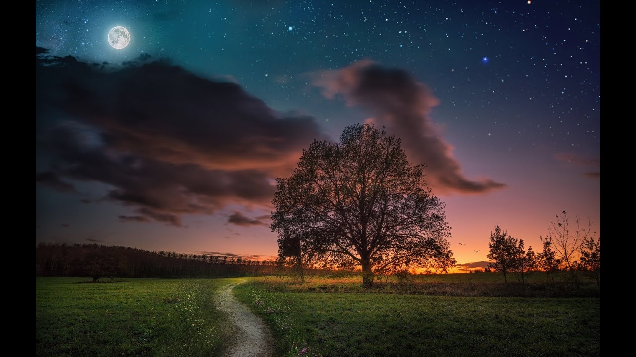 Зачем взошла Луна и ту дорожку осветила(гармонь)