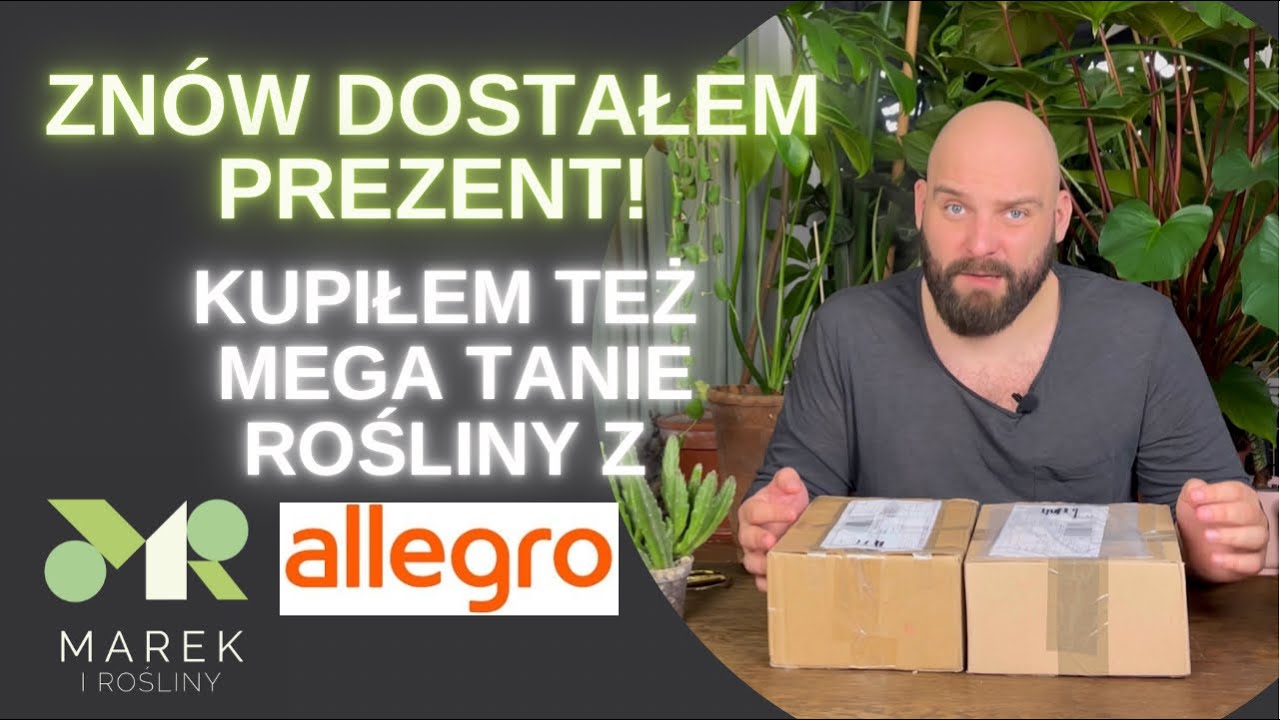Znów dostałem prezent! Kupiłem też mega tanie rośliny na allegro - unboxing