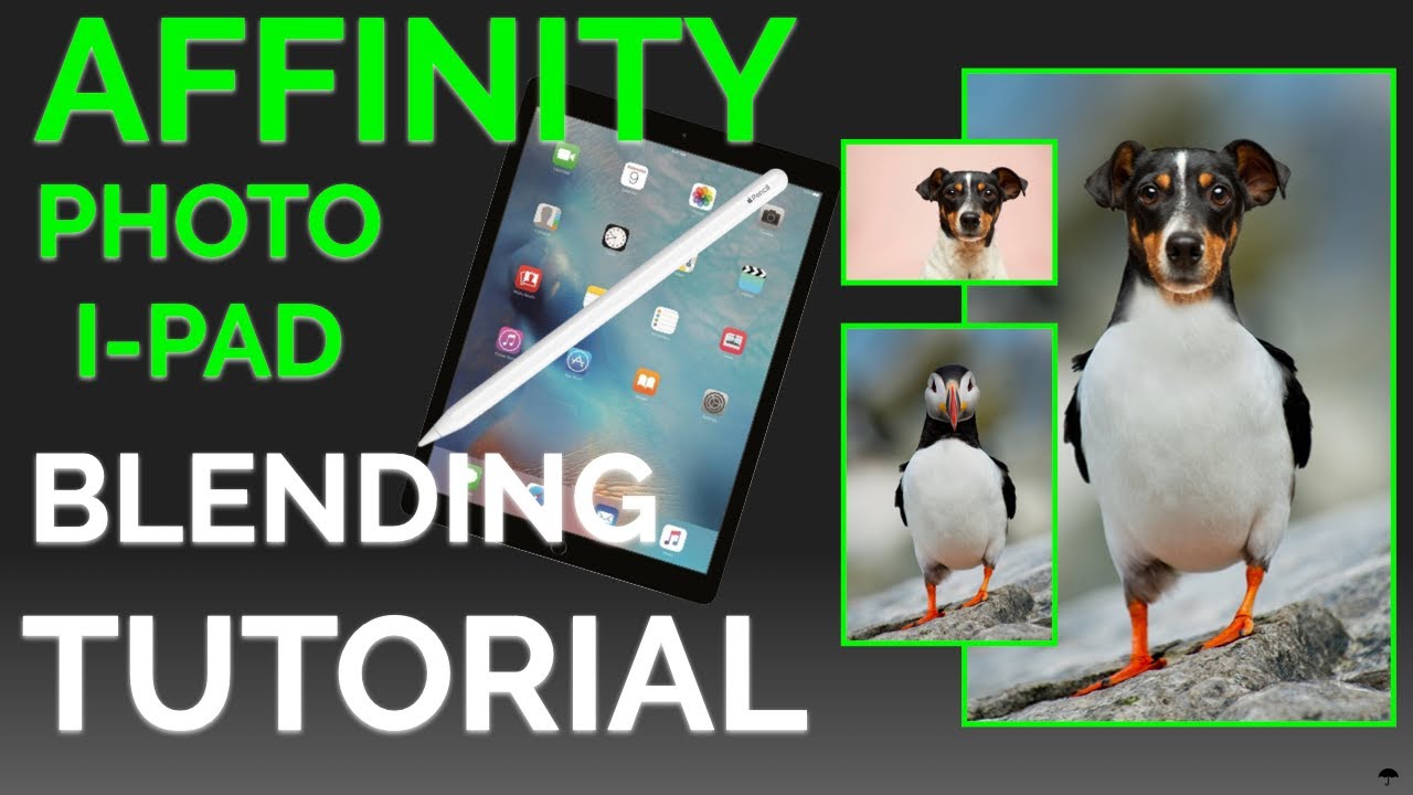 Affinity Photo I-pad Blending (Bird Dog)