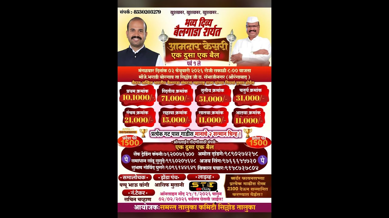 आमदार केसरी एक दुसा एक बैल मौजे भराडी तालुका सिल्लोड छत्रपती संभाजीनगर