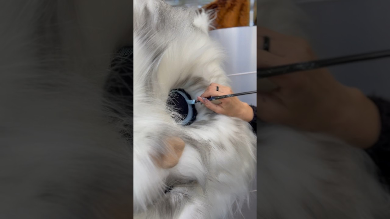 The largest factory of mascots #mascot #mascotcostume #promomascots #carnivalcostumes