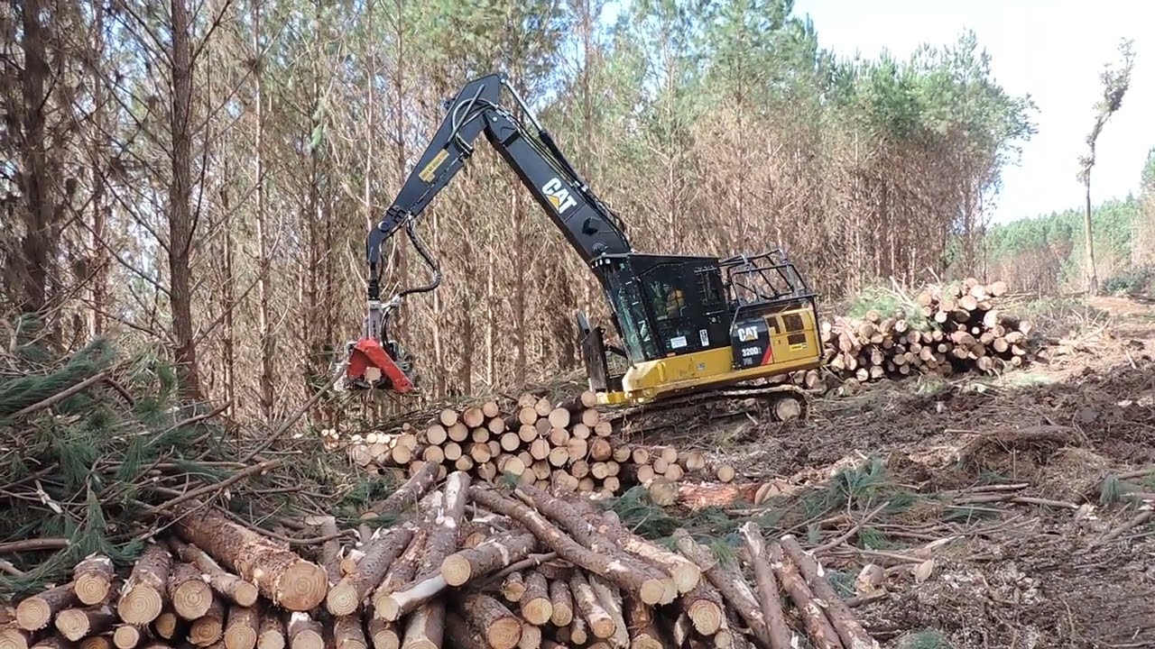 Colheita de Madeira - Harvester CAT 320D FM