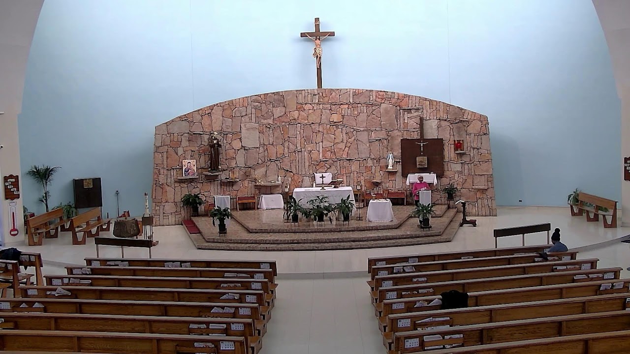 Holy Mass and Holy Rosary for Saint Blaise, Bishop and Martyr 2/3/26 * Fr. Higgins .