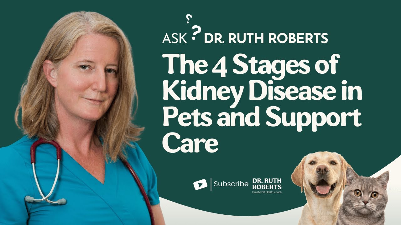 The 4 Stages of Kidney Disease in Pets and Support Care | Ask Dr. Ruth Roberts