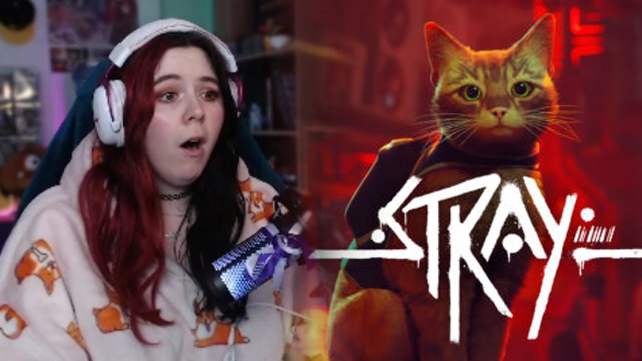 IS STRAY THE CUTEST GAME EVER MADE!? | Allie Stephens