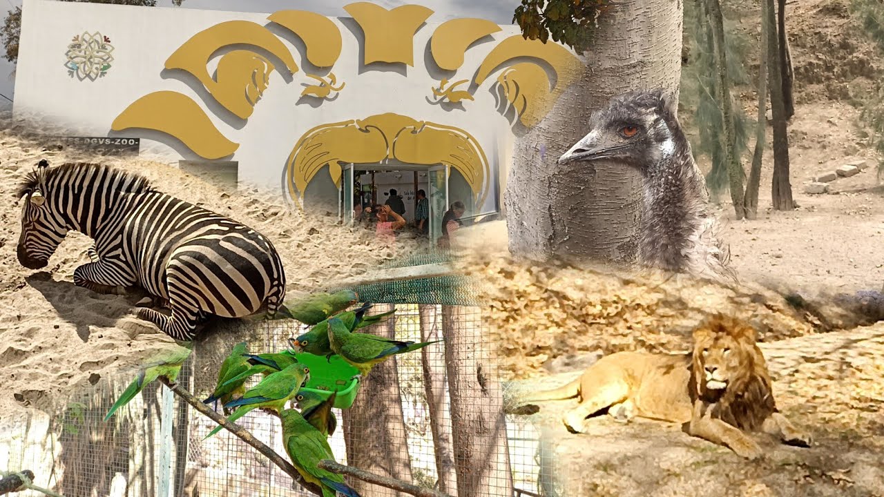 Zoológico del Altiplano, Tlaxcala (como llegar y costos)