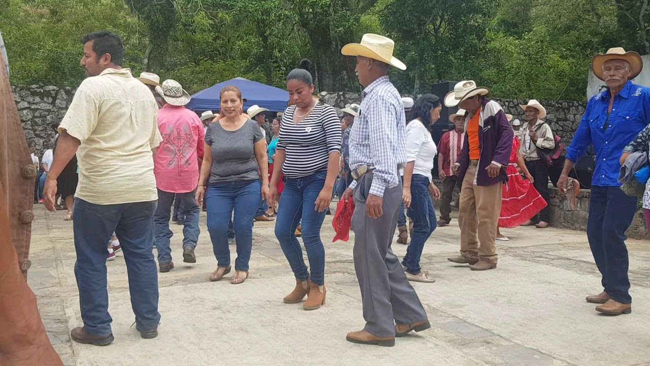 Caballo arribeño