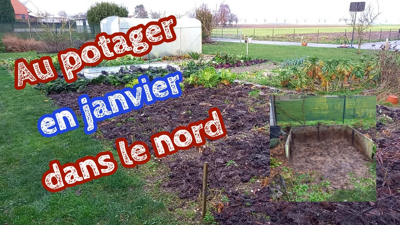 Au potager en janvier 2022 au Nord ❄❄☂☂
