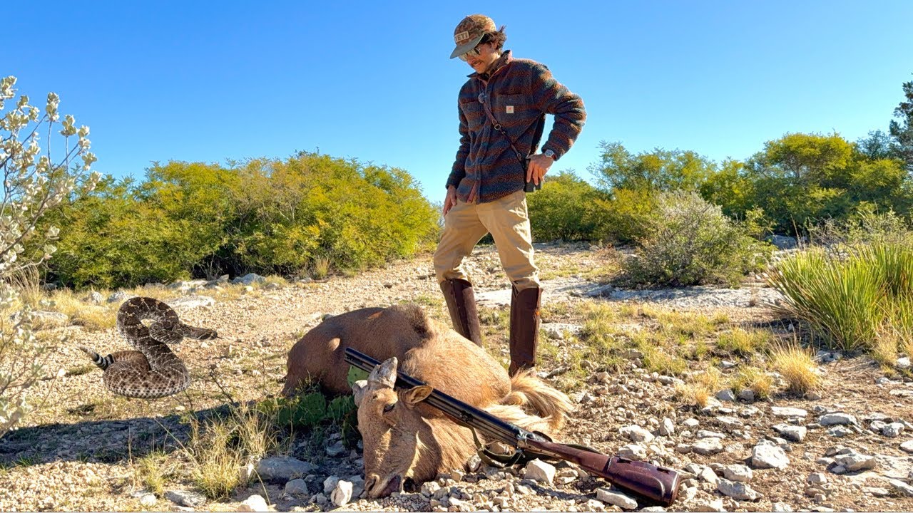 Двуствольная винтовка Ghost Sheep