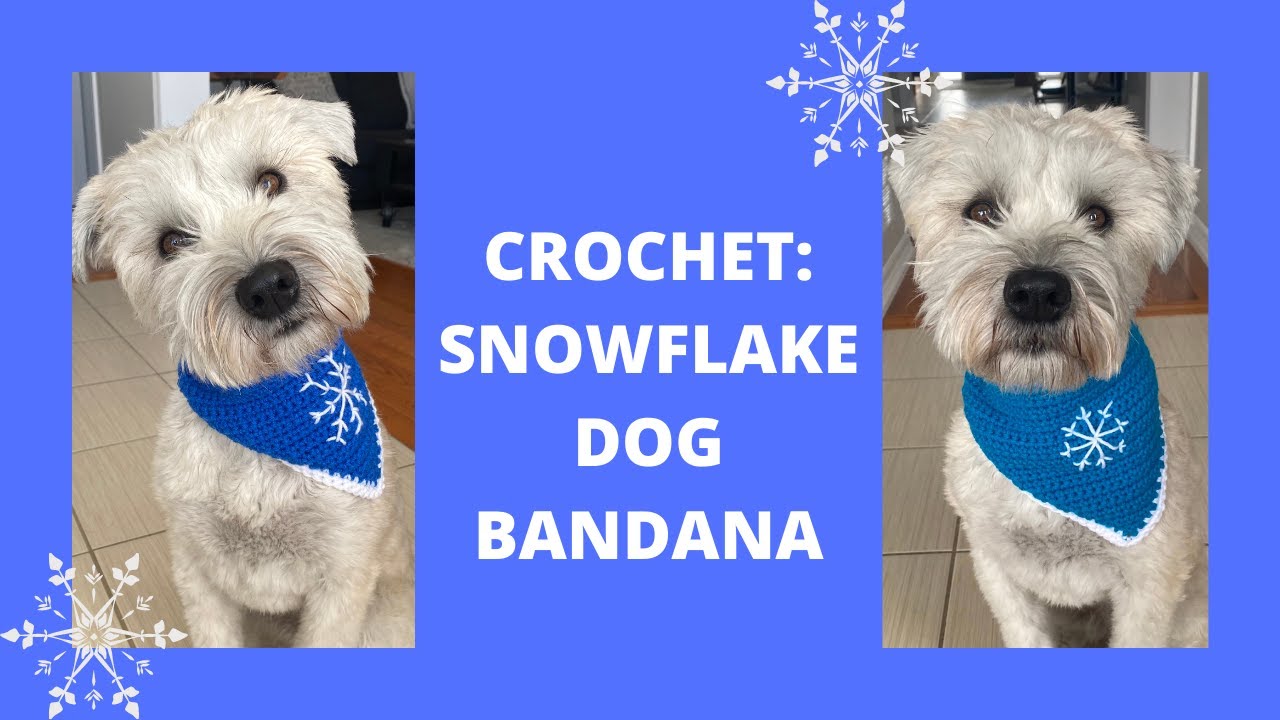 Crochet: Snowflake Dog Bandana