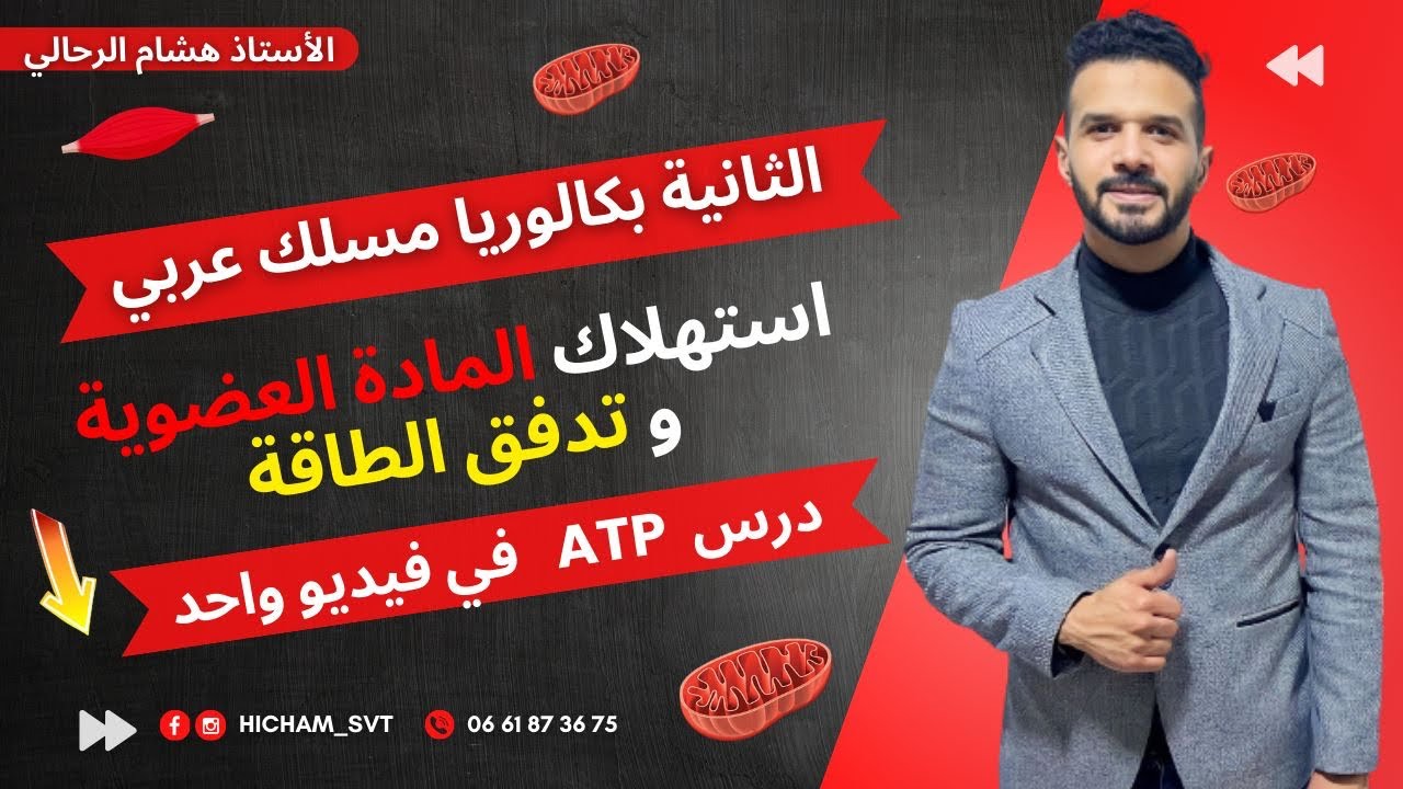 2BAC ATP  |مسلك عربي استهلاك المادة العضوية وتدفق الطاقة