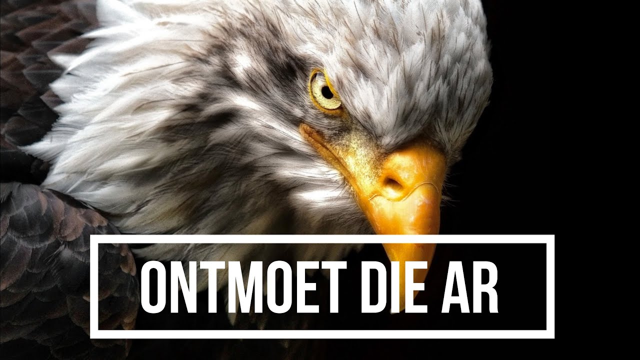 Ontmoet die AR van 2021