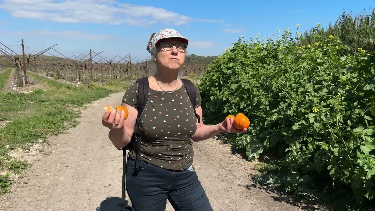 13. Tag Wandern am Taninim Fluss