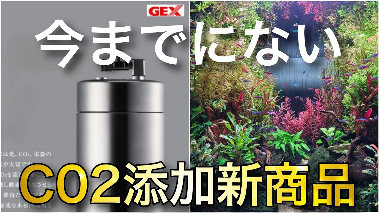 今までにない!!GEXのCO２添加新商品が凄すぎる‼　aquarium　アクアリウム　熱帯植物　金魚　熱帯魚　水草　流木　メダカ