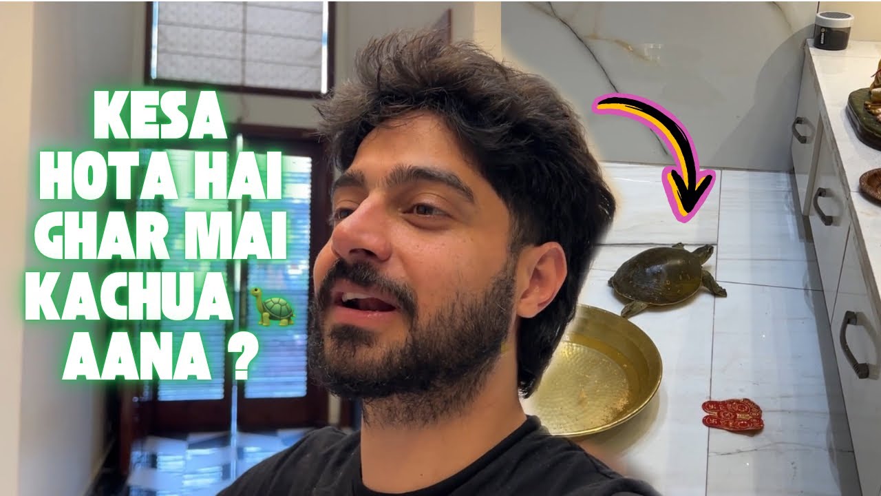 Ghar me apane aap kachua 🐢 aa Gaya 😍 !